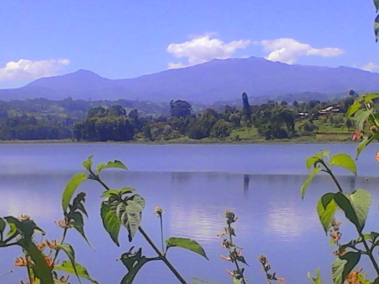 STUNNERBIZ MASHINANI: GROWING A NEW GENERATION OF AGRIPRENEURS